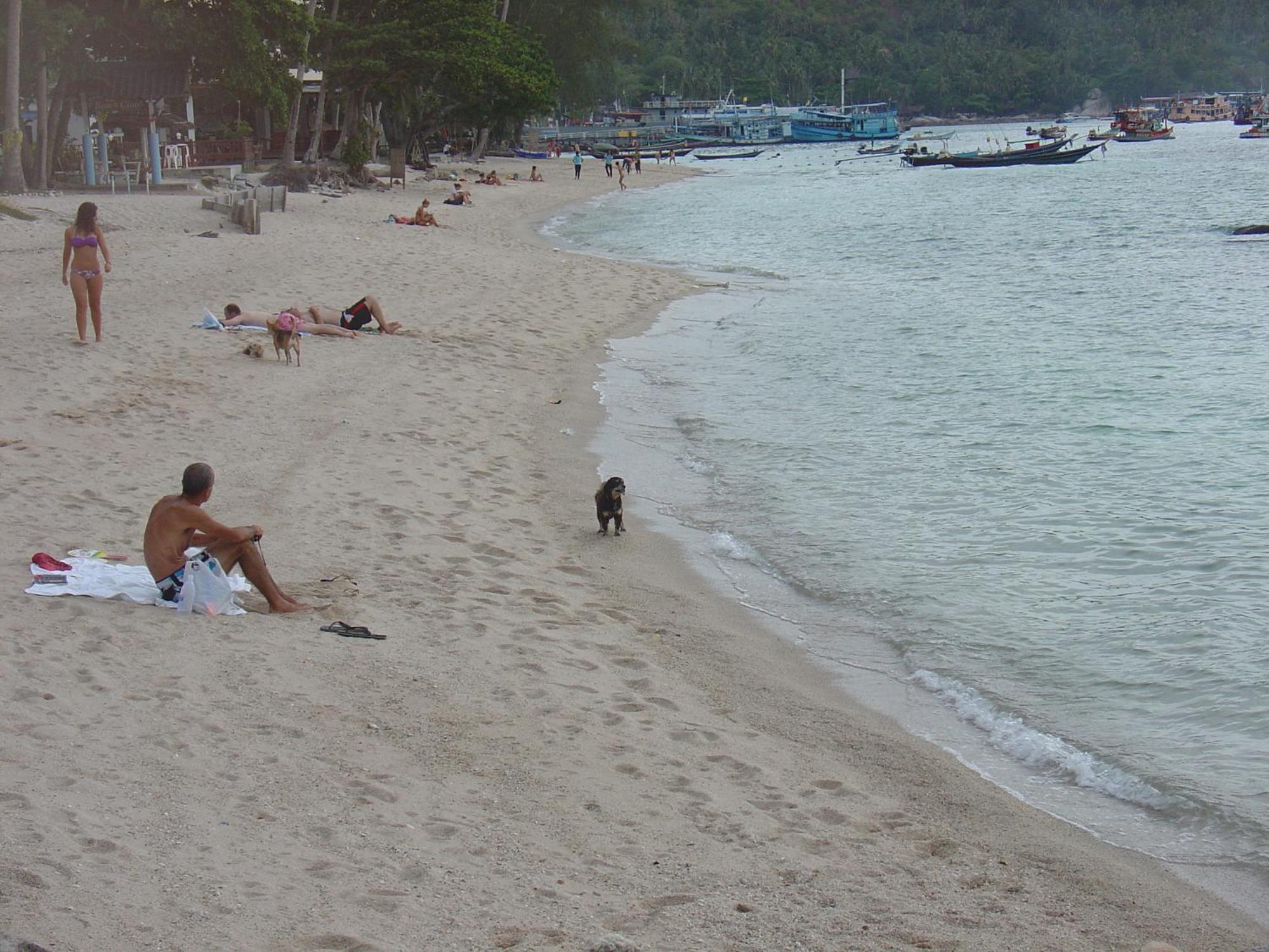 Queen Resort Koh Tao Ko Tao Exterior foto