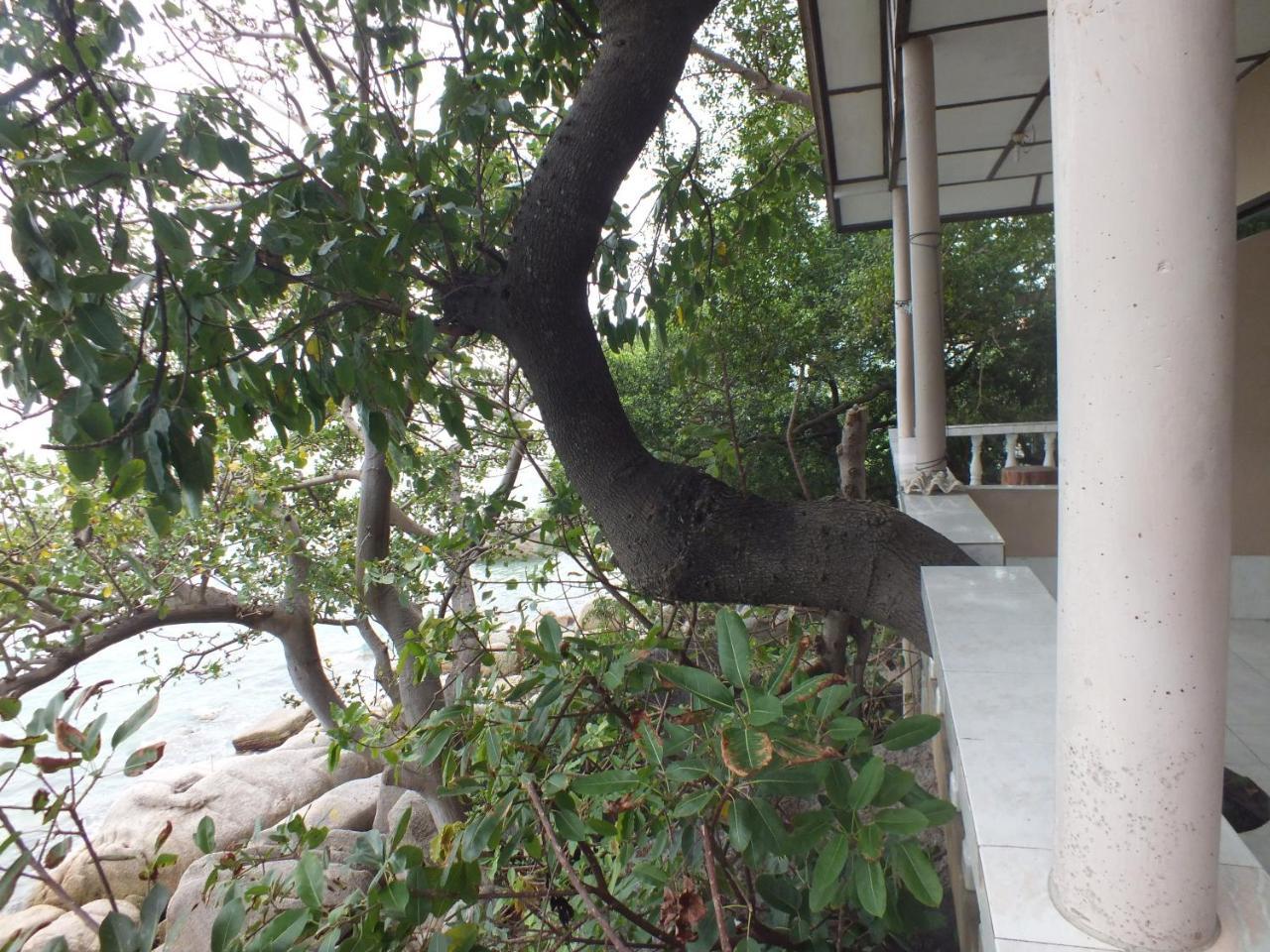 Queen Resort Koh Tao Ko Tao Exterior foto